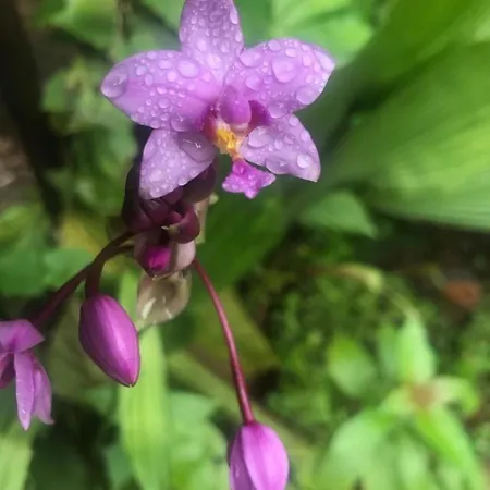 Semesterbostad Le Nid Proche