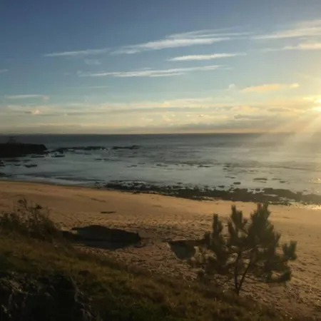 Le Nid Proche Saint-Palais-sur-Mer